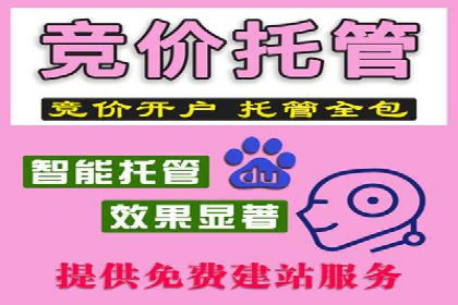 百度竞价推广的成功案例：企业如何快速提升品牌知名度